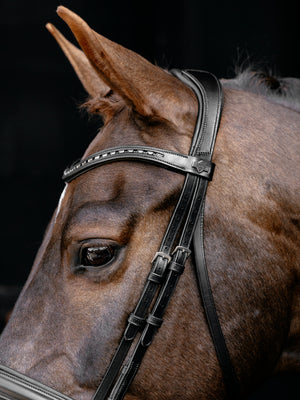 Bridon de Dressage Arika LeMieux - noir argent - mise en situation
