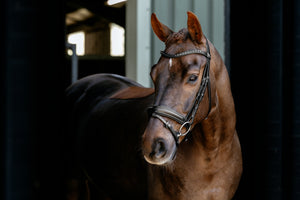 Bridon de Dressage Arika LeMieux - noir argent - mise en situation