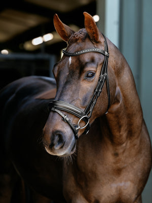 Bridon de Dressage Arika LeMieux - noir argent - mise en situation