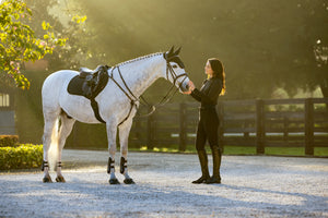 Tapis de CSO LeMieux Brilliance - noir - mise en situation