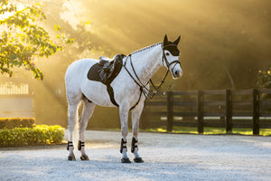 Tapis de CSO LeMieux Brilliance - noir - mise en situation