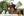Tapis de CSO LeMieux Brilliance - espresso - mise en situation