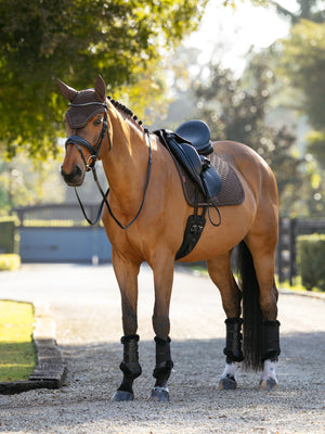 Tapis de Dressage Brilliance - LeMieux, coloris Espresso, en situation