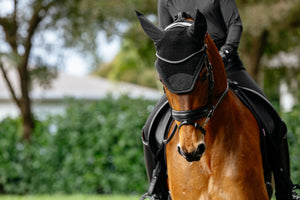 Bonnet anti-mouches Brilliance - LeMieux, coloris Black, en situation