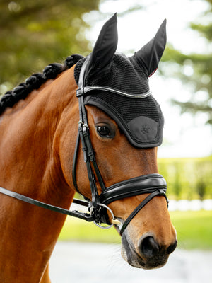 Bonnet anti-mouches Brilliance - LeMieux, coloris Black, en situation
