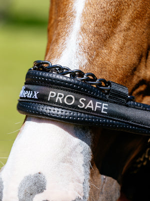 Licol ProSafe LeMieux - noir - mise en situation