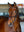 Bridon de Travail Grackle Kudos LeMieux - marron - mise en situation