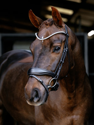 Bridon de Dressage Anatomique Kudos LeMieux - marron - mise en situation