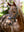 Bridon de Dressage Anatomique Kudos LeMieux - marron - mise en situation