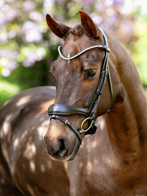 Bridon de Dressage Anatomique Kudos LeMieux - marron - mise en situation