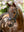 Bridon de Dressage Anatomique Kudos LeMieux - marron - mise en situation