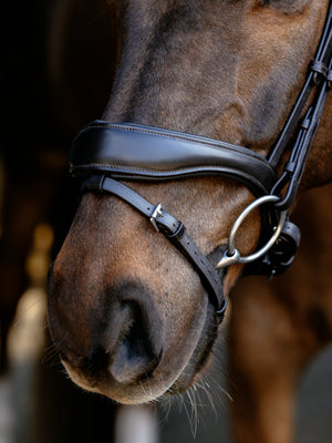 Bridon de Dressage Anatomique Kudos LeMieux - marron - mise en situation