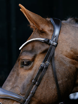 Bridon de Dressage Anatomique Kudos LeMieux - marron - mise en situation