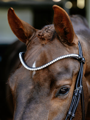 Bridon de Dressage Anatomique Kudos LeMieux - marron - mise en situation