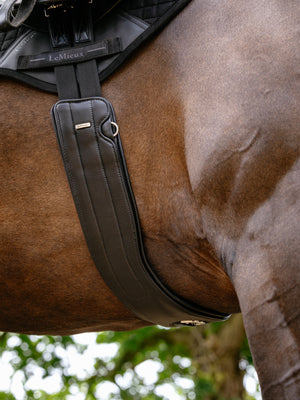 Sangle Hunter LeMieux avec Doublure Antidérapante Amovible Noire, coloris Black, en situation