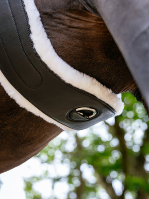 Sangle Hunter LeMieux avec Doublure Merino+ Amovible - noir - mise en situation
