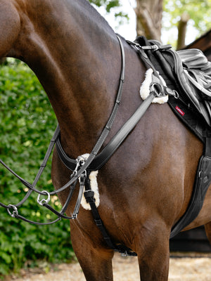 Collier de Chasse Bridge 5 Points Kudos LeMieux, coloris Black, en situation