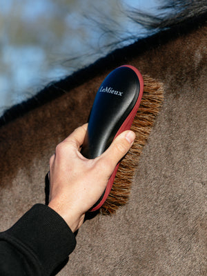 Brosse de corps ergonomique LeMieux - noir - mise en situation