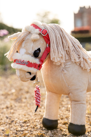 Licol et Longe Harlow Toy Pony Coral Crush - Coral Crush - mise en situation
