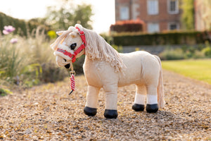 Licol et Longe Harlow Toy Pony Coral Crush - Coral Crush - mise en situation