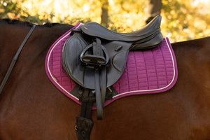 Tapis de CSO LeMieux Suédine Close Contact