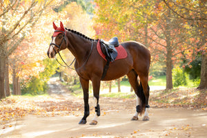 Russet IT09162
