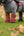 Guêtres de Protection en Mesh Toy Pony Russet