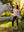 Sweat style Varsity col rond Young Rider Shay — Petal