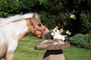 Mini Poney en Peluche Tiny Beanie Pony Lemon - ambiance
