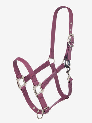 Licol Breakaway FieldFlex LeMieux