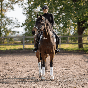 Sprenger – Mors de bride Sprenger French 14mm 145 14 mm 7 cm | Sellerie Bucéphale