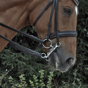 Mors de bride FC Sprenger Sensogan 14 mm branches 7 cm — 115 mm poney