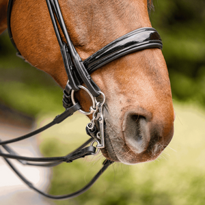Sprenger HO Sensogan Bridle Bit