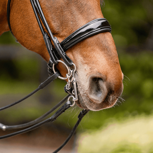 Sprenger HO Sensogan Bridle Bit