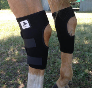 Protections de jarret Fenwick Liquid Titanium® (la paire) | Sellerie Bucéphale
