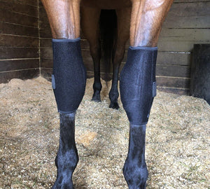 Protections de genou Fenwick Liquid Titanium® (la paire) | Sellerie Bucéphale