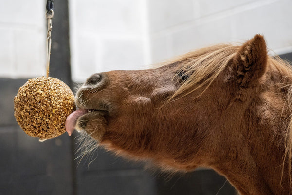 Likit granola stabiele bal