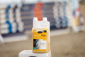 Flacon de Muscle Plus Horse Master devant des obstacles de concours