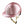 KEP Italia – Casque Smart Nova Polish Rose jugulaire crème et visière Polo | Sellerie Bucéphale