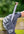 Woof Wear – Cravache de dressage Reptile Woof Wear Grey / Rose Gold 2 | Sellerie Bucéphale