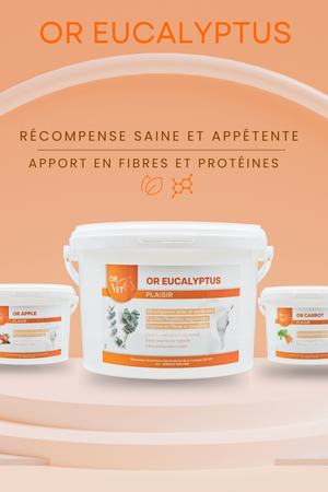 Or-Vet – Friandises Or-Vet    | Sellerie Bucéphale