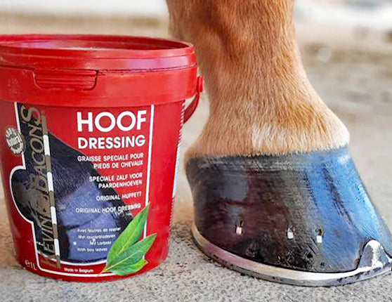 Kevin Bacon's – Hoof Dressing Original KEVIN BACON’S    | Sellerie Bucéphale