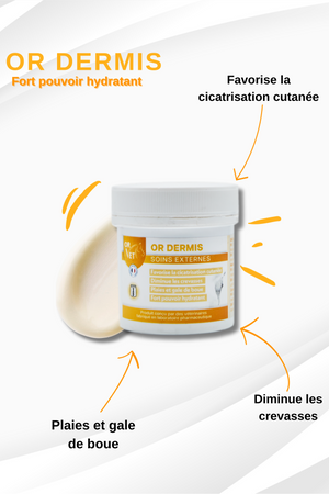 Or-Vet – Crème OR-Dermis    | Sellerie Bucéphale