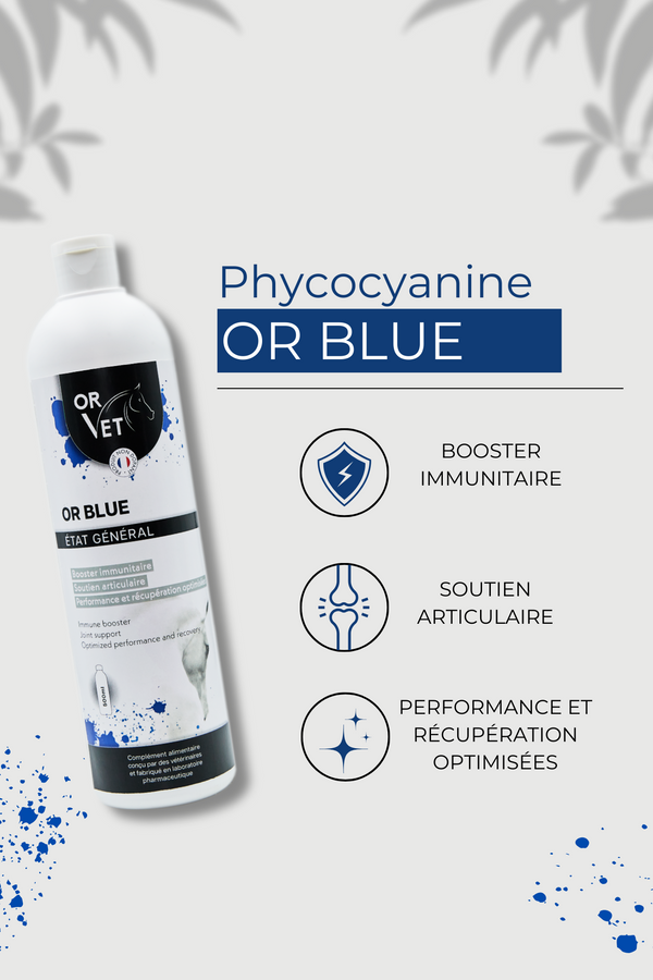 Or-Vet – OR BLUE : Concentré de Phycocyanine pour Chevaux    | Sellerie Bucéphale