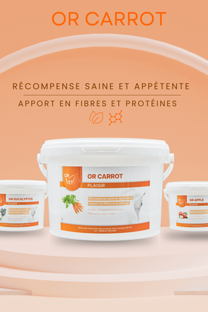 Or-Vet – Friandises Or-Vet    | Sellerie Bucéphale