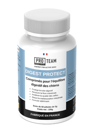 PRO TEAM Digest Protect – Complément digestif chien verso