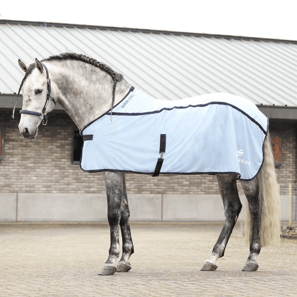 Couverture refroidissante Quick Chill Cooling Rug Equilibrium