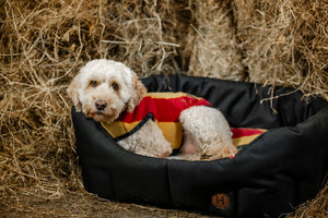 Polarowy płaszcz dla psa Horseware® Newmarket