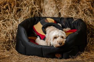 Polarowy płaszcz dla psa Horseware® Newmarket