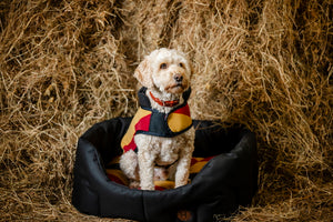 Polarowy płaszcz dla psa Horseware® Newmarket